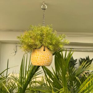 Golden Pebble Pattern Hanging Planter